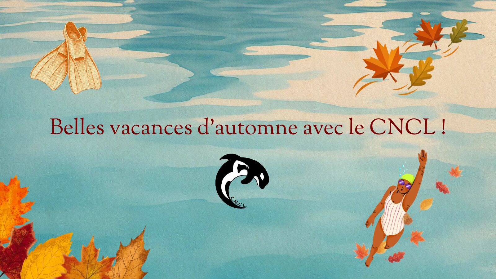 Horaires des entraînements pendant les vacances d'automne 2026