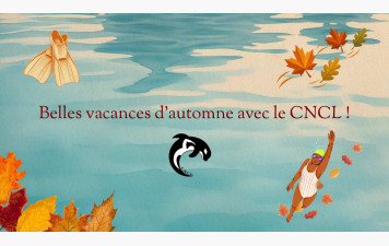 Horaires des entraînements pendant les vacances d'automne 2026