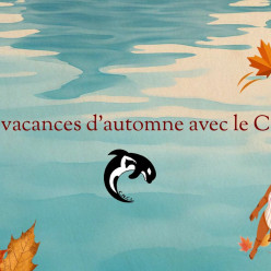 Horaires des entraînements pendant les vacances d'automne 2026